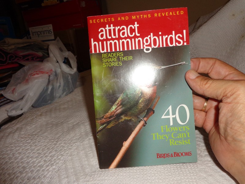 birds & blooms attract hummingbirds. readers share their stories