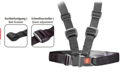 Rolko 4-Punkt Sicherheitsgurt für Becken und Schultern, Gurtbreite: 4cm