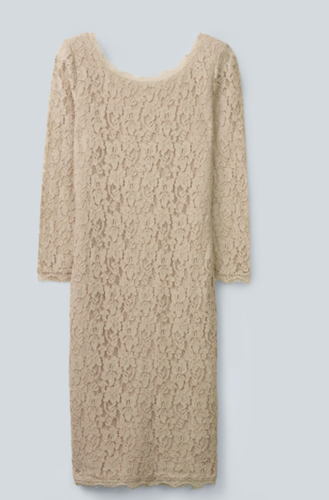 BABATON Rafael Taupe Lace Dress Size 4 