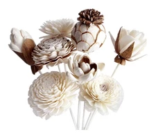 8 Mixed Sola Flower Reed Diffuser by Plawanature.