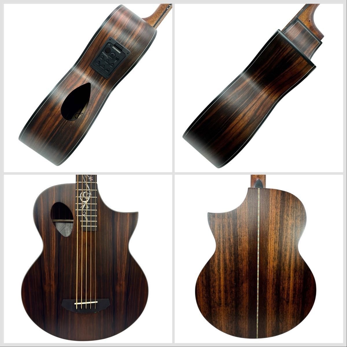Michael Kelly Guitars 5 string acoustic guitar bass Dragonfly | eBay