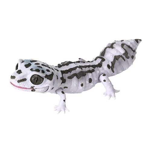 Japan Q Leopard gecko lizard PVC Action Figure model with joints (10cm) A3 - 第 1/1 張圖片
