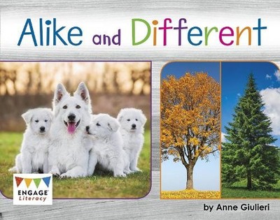 Anne Giulieri Alike and Different (Taschenbuch) Engage Literacy Green