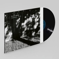 Vagabond | Dominic Miller | Vinyl / Schallplatte | 2023 | ECM Records