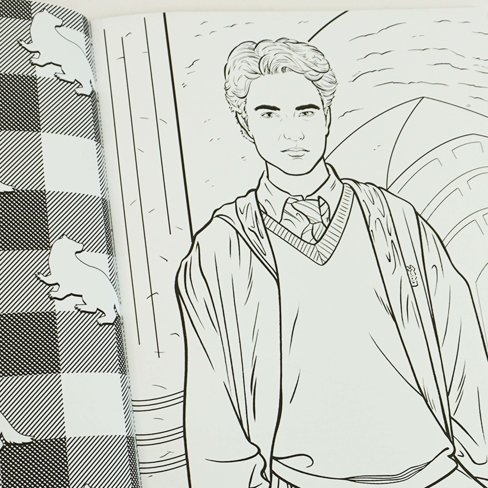 Harry Potter: An Official Colouring 4 Books Set by Various Contributors ...