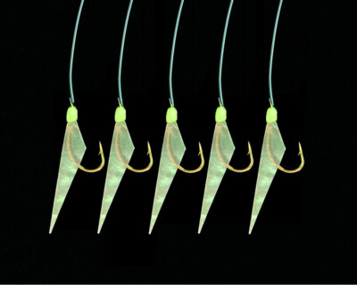 Jenzi Light Points Deep Sea Leader Real Fish Skin Spinning Leader Sea Fishing