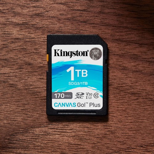 Kingston Canvas Go Plus 1TB microSD Card 170MBs U3 V30 4K UHD Durable Memory - Picture 4 of 6