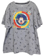 Disney Play In The Park Mickey Mouse T-Shirt Adult XXL Grey Screen Art Friends