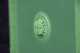 Microsoft XBOX SERIES X Genuine OEM Replacement 12mm 1-2 Disc Game Case Box XBSX