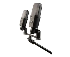 Warm Audio WA-14SP Stereo Pair Large-Diaphragm Condenser Microphone