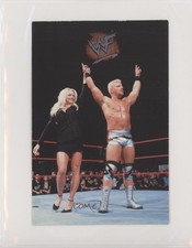 1999 WWF WrestleMania Live! Jeff Jarrett Debra Mcmichael w/Debra #29 0ad