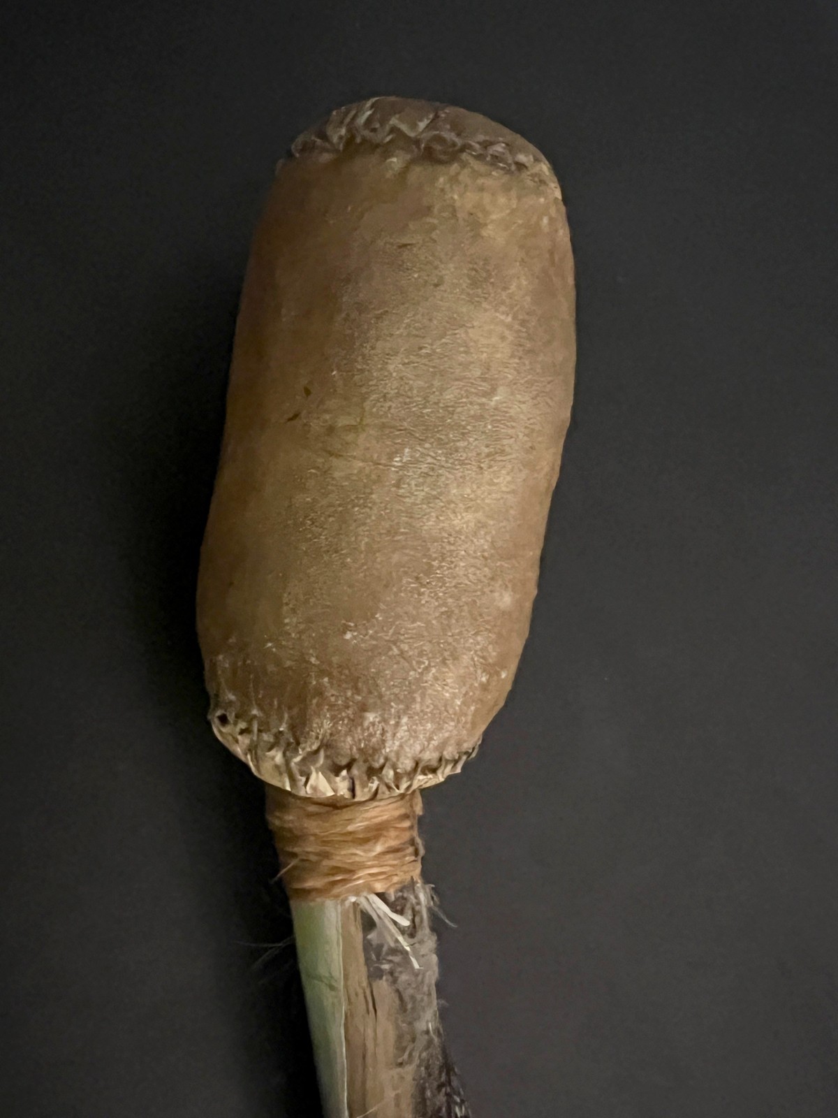 SIOUX BUCKSKIN RATTLE w/WOOD HANDLE Authentic Antique Native American Art