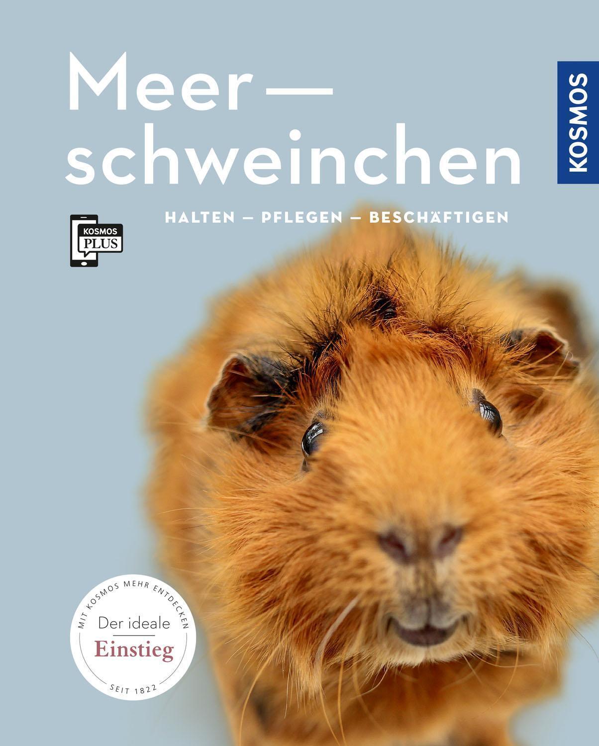 Thumbnail - Meerschweinchen | Angela Beck | Halten - Pflegen - Beschäftigen |