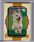 2018 Upper Deck Goodwin Champions #Cc126 Norwich Terrier Patch B211