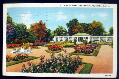 Delaware Park Rose Garden Visit Buffalo Niagara