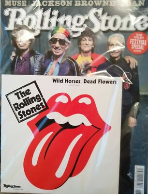 Rolling Stones - Wild Horses Acoustic Version Exclusive Vinyl 7'' + Music Magazin