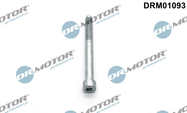 DRM01093 Dr.Motor Automotive Screw, injection nozzle holder for CITROËN,DS,FORD,