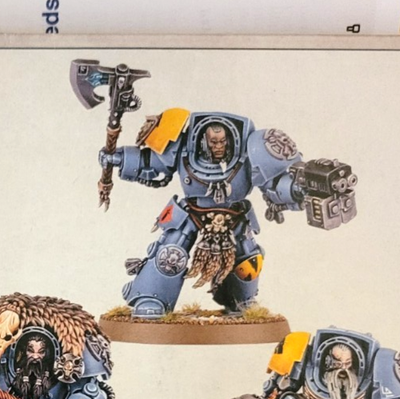 #ad Wolf Guard Terminator w Power Axe Bolter Storm Shield Space Wolves 40K Marines $19.90