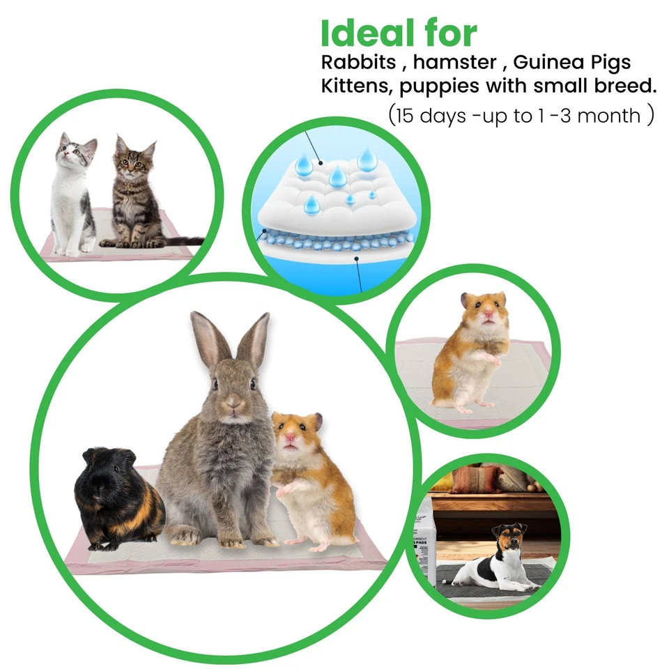 FPN Training Pads for Dogs All Types 6 Layer Pet Pads Ultra Absorbent Underpads - Image 4 of 4