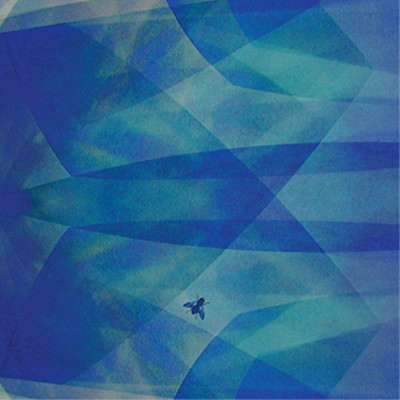 Cyro Baptista Bluefly (CD) Album (US IMPORT)