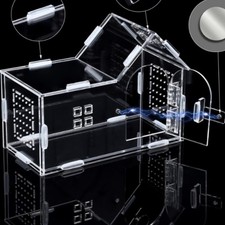 Clear Acrylic Amphibian House High Clarity Acrylic Jumping Arachnid Habitat