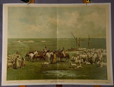 Countrycore Mural Vintage Art Print Wall Chart Hungary Landscape On the Puszta