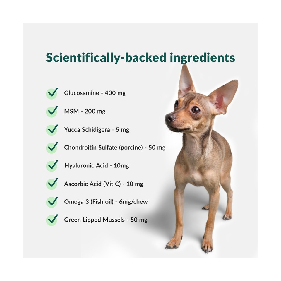 Wuffes Chewable Dog Hip and Joint Supplement for Small & Medium Breeds