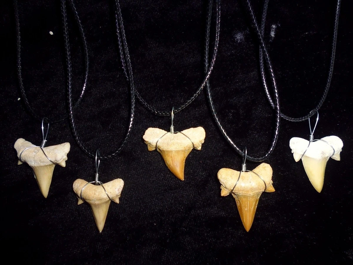 Shark tooth necklace ebay store