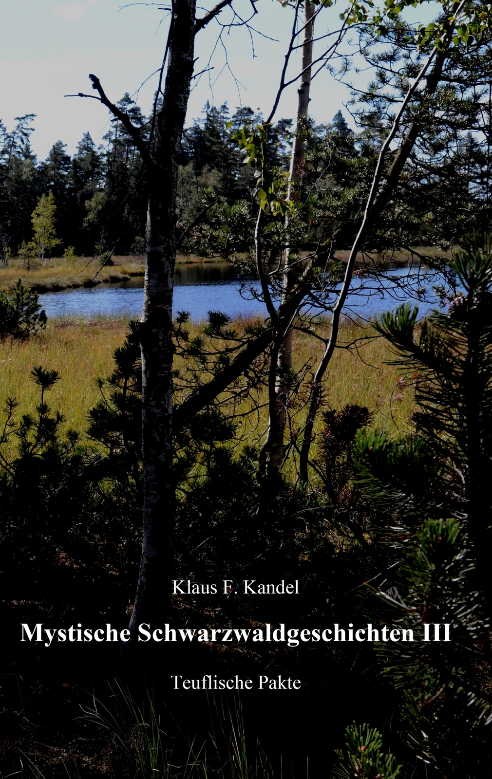 Thumbnail - Mystische Schwarzwaldgeschichten Iii (buch)