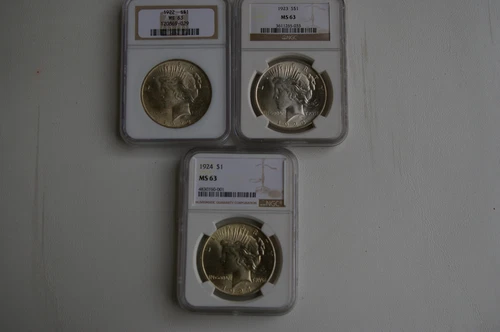 3-NGC MS 63 Peace Dollars DATE RUN 1922/23/24