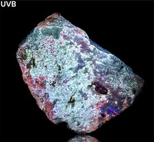 1907 Gr. Fluorescent Phosphorescent Tenebrescent Hackmanite W/ Fluorapatite @Afg