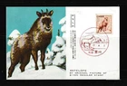 JAPAN 1952 8Y Serrow Deer FDC Card Akita Miyagawa 秋田宮川 1.Aug.1952 Cxl, 2,000 Yen