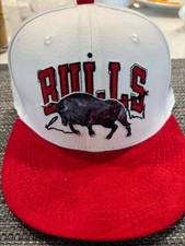 Chicago Bulls hat SGA artist series