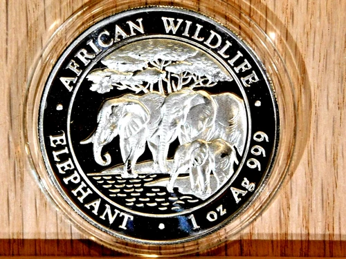 2013 Somalia Silver Elephant 1 oz — photo from the most recent tracked eBay sale