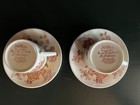 Foto 6 di 7