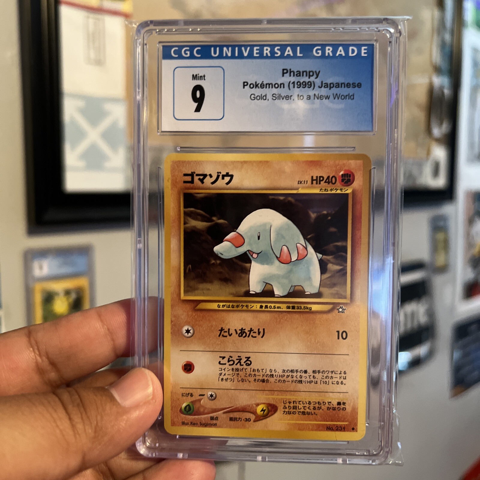Phanpy 1999 Pokémon Japanese No.231 PSA 9 – Vintage Neo Genesis Holo Rare