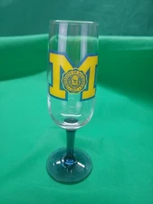 Vintage University of Michigan Footed Glass Barware
