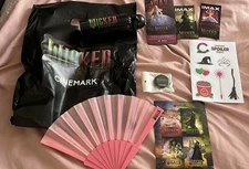 Wicked For Good Spoiler Night - Exclusive Cinemark Brazil Memorabilia