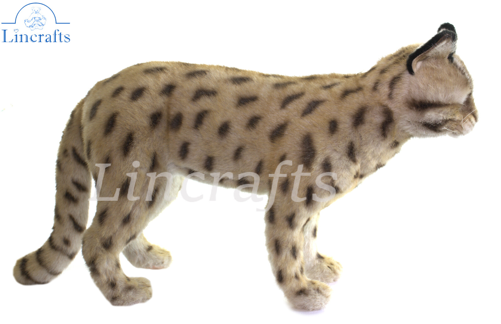Hansa Leopard Cat Shihu 7740 Soft Toy Sold by Lincrafts UK Est 1993.