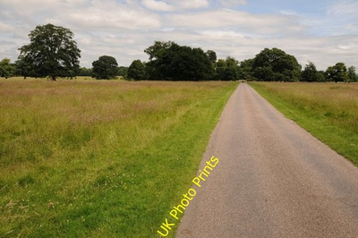 #ad #ad Photo 6x4 Driveway in Attingham Park Atcham Driveway for National Trust v c2016 GBP 2.00