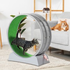 Cat Exercise Wheel with Safe Lock 39.4 / 31.5in Treadmill Wheel for Indoor Play