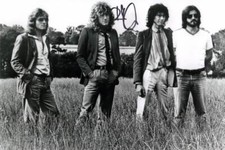 Robert Plant Signed Autograph 8x12 Photo - Young Led Zeppelin Band w/ JSA COA