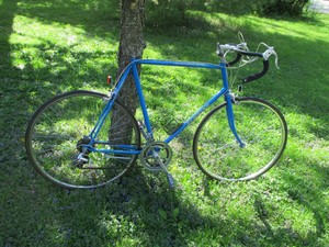 schwinn 10 speed 1980s