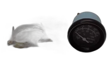 Gehl Manitou 090-32305 TEMP GAUGE