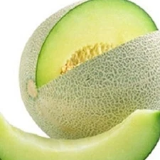 Honeydew Green Melon Seeds  | Heirloom Melon Seeds | Fresh NON-GMO Garden Seeds