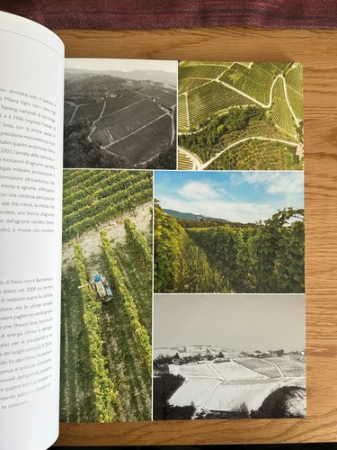 RIVISTA VITAE ASSOCIAZIONE ITALIANA SOMMELIER N°21 GIUGNO 2019 - Imagen 7 de 14