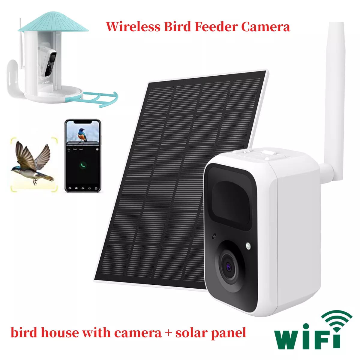 Bird feeder hotsell camera wifi