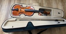 Palatino Wood violin comes with case