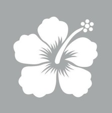 Stencil 8 X 8 CM Hibiscus
