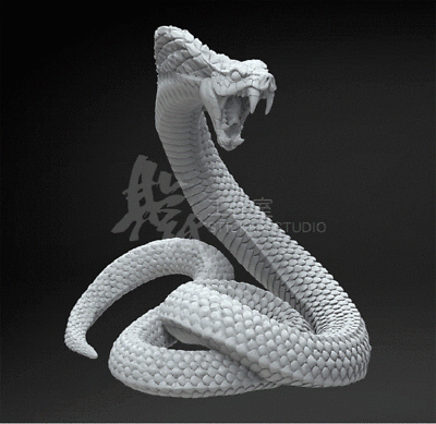 Cobra snake 3D Print Model